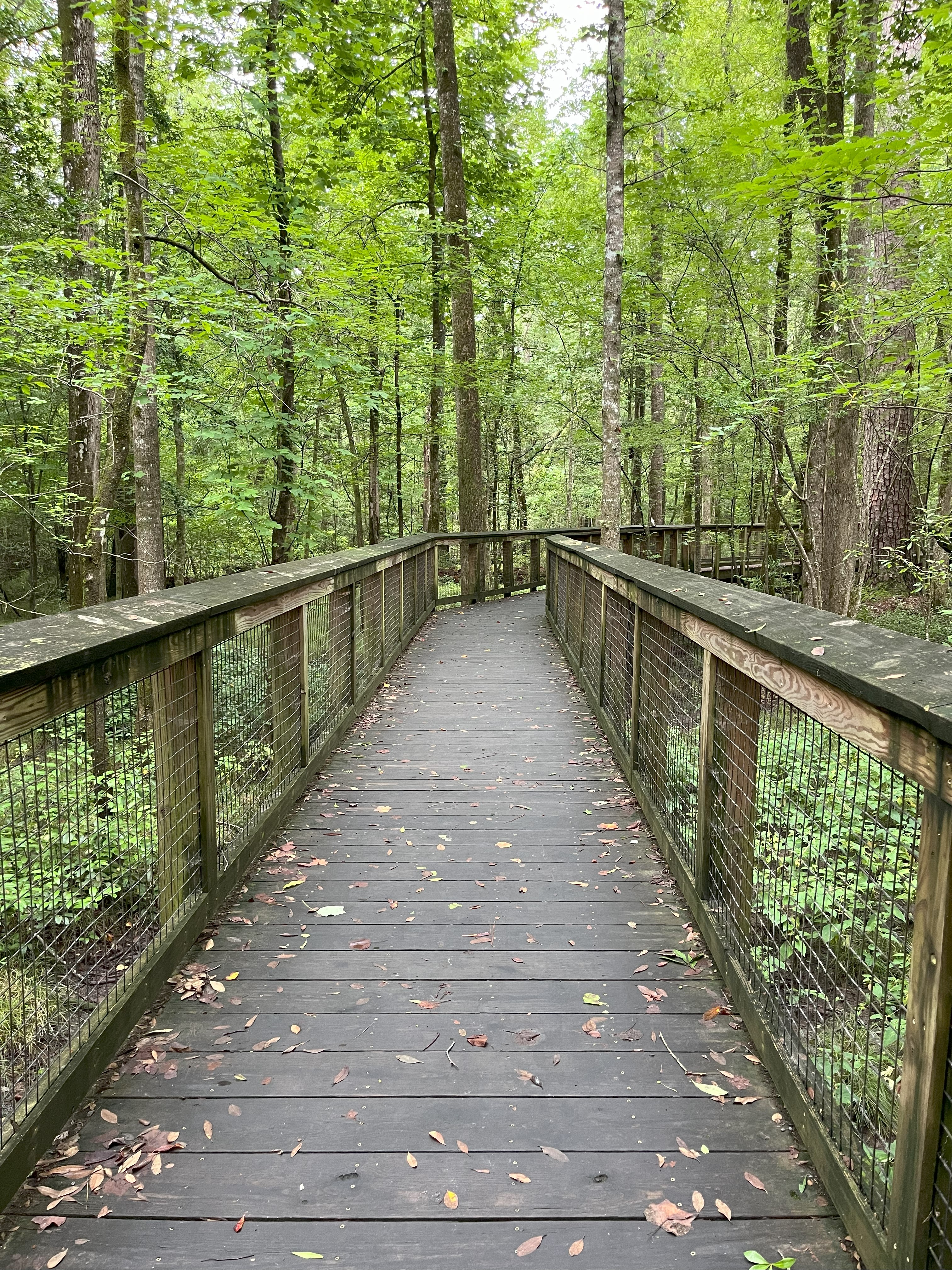 Congaree National Park