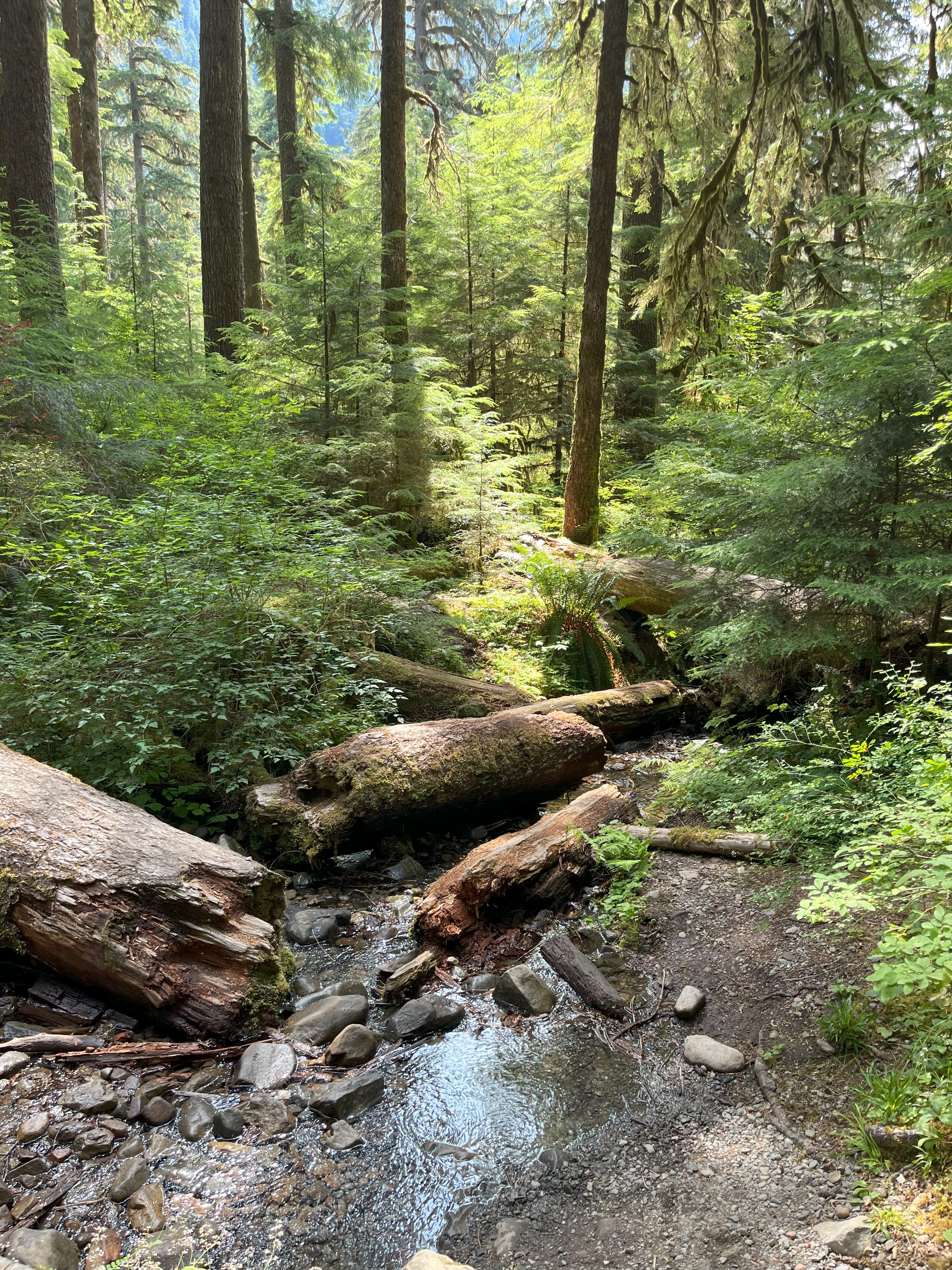 Olympic National Park